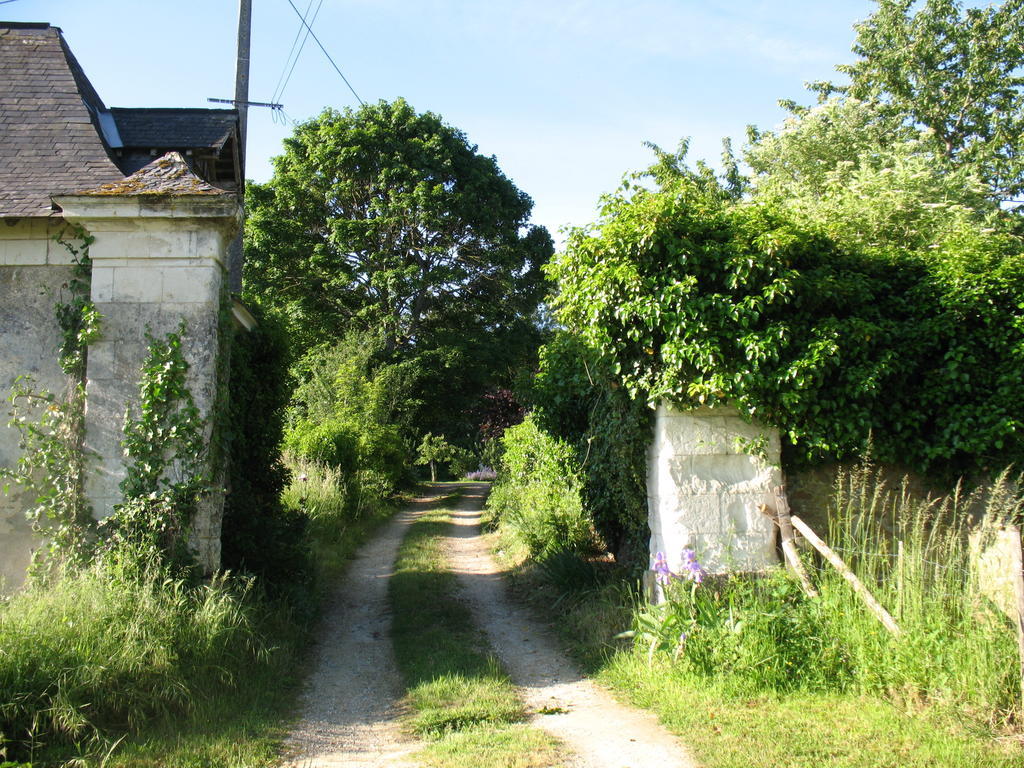 La Mesnagerie Bed & Breakfast Jarzé Exterior photo