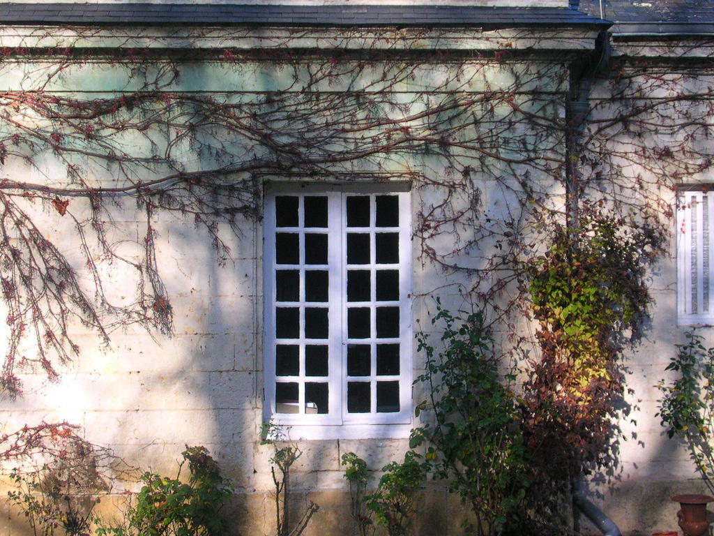 La Mesnagerie Bed & Breakfast Jarzé Exterior photo